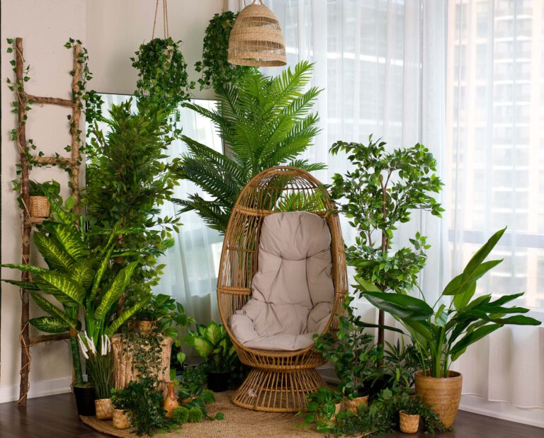 Green and natural photo studio in Toronto. Plant filled greenery in Toronto for Photographers.
