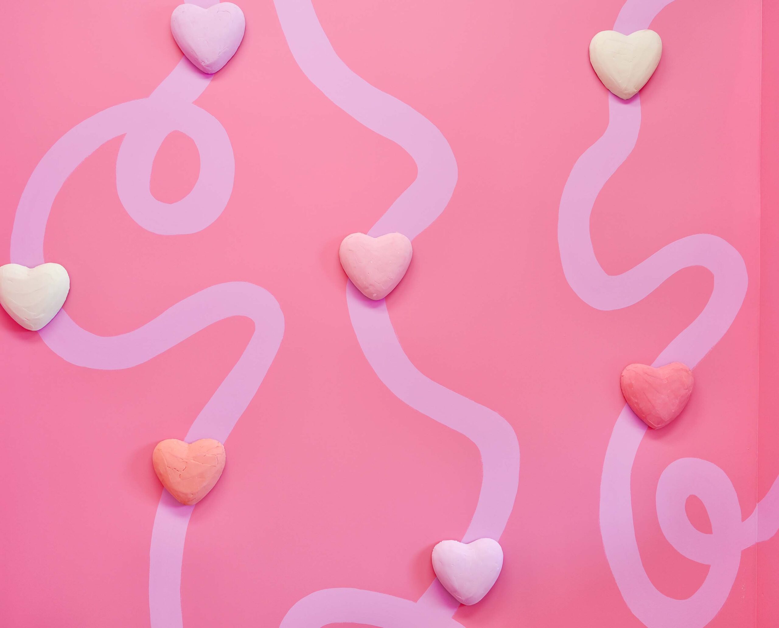 Pink photography studio in Toronto.